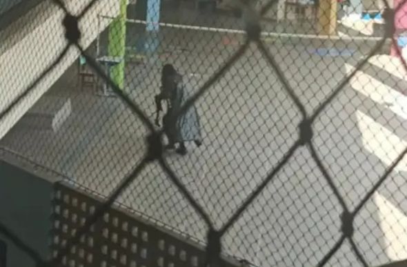 Ex-aluno é preso após invadir escola com besta e bombas em Vitória — Foto: Reprodução