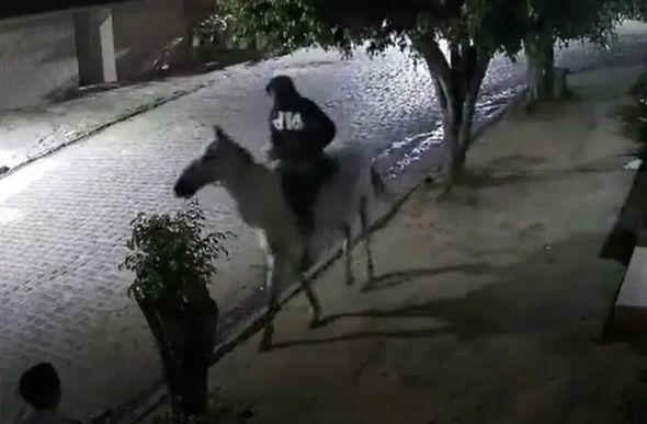 Assalto a cavalo em Garanhuns, no agreste do Estado de Pernambuco - Foto: Twitter/Reprodução