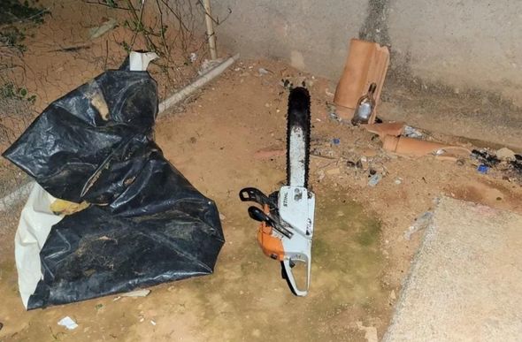 Motosserra foi usada na prática do crime — Foto: Divulgação / Polícia Civil