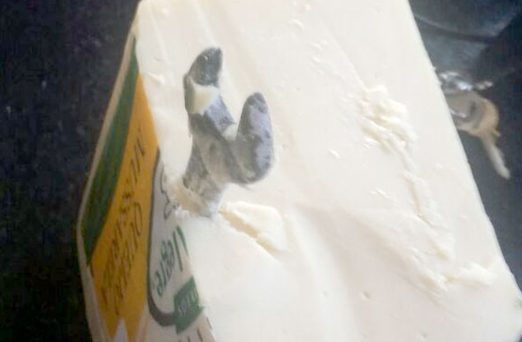 Peça de queijo foi recolhida pelo fabricante para análise / Foto: Rafael Candea  